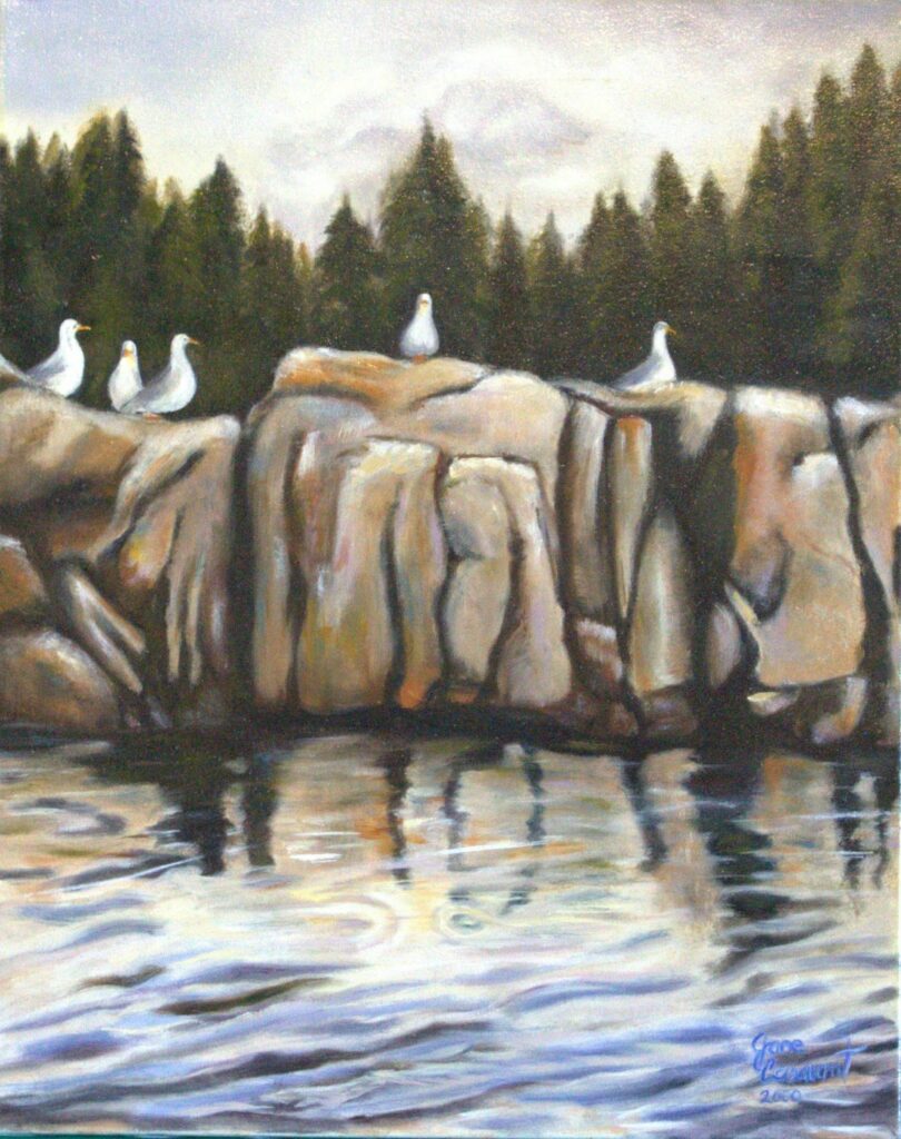 Seagulls sunning on the Rock 16 x 20 Oil on Canvas $300