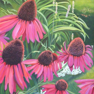 Echinacea 16 x20 x 1.5 Acrylic on Canvas $275